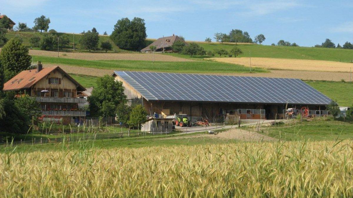 Bauernhof mit Solaranlage auf dem Scheunendach, im Vordergrund ein Getreidefeld